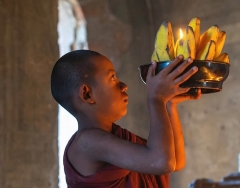 Tam đức lục vị là gì?